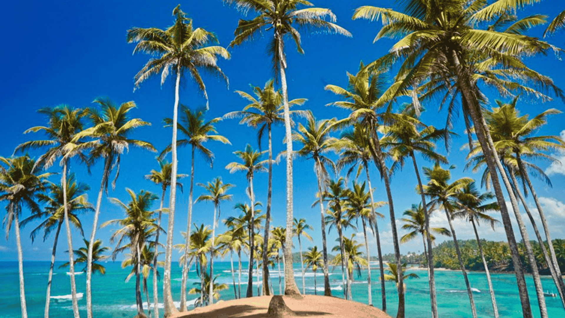 Beach View Sri Lanka