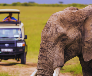 srilanka wildlife photography