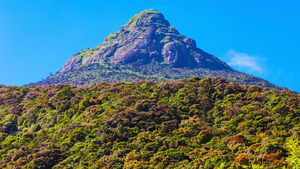 adams peak sri lanka