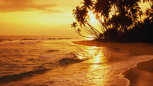 mirissa sri lanka