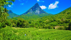 Knuckles Mountain Range